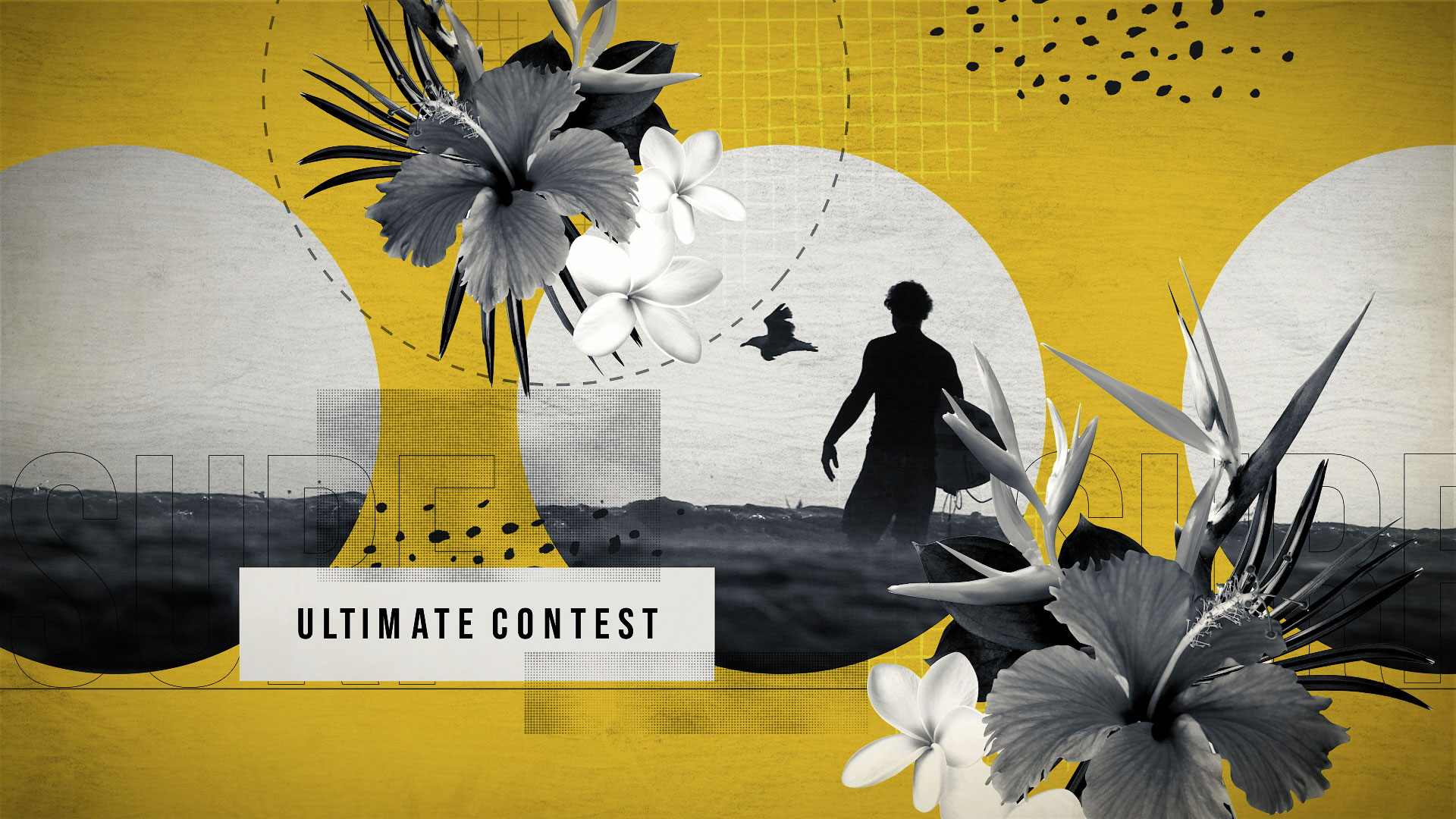 Montage-(0-00-10-05)