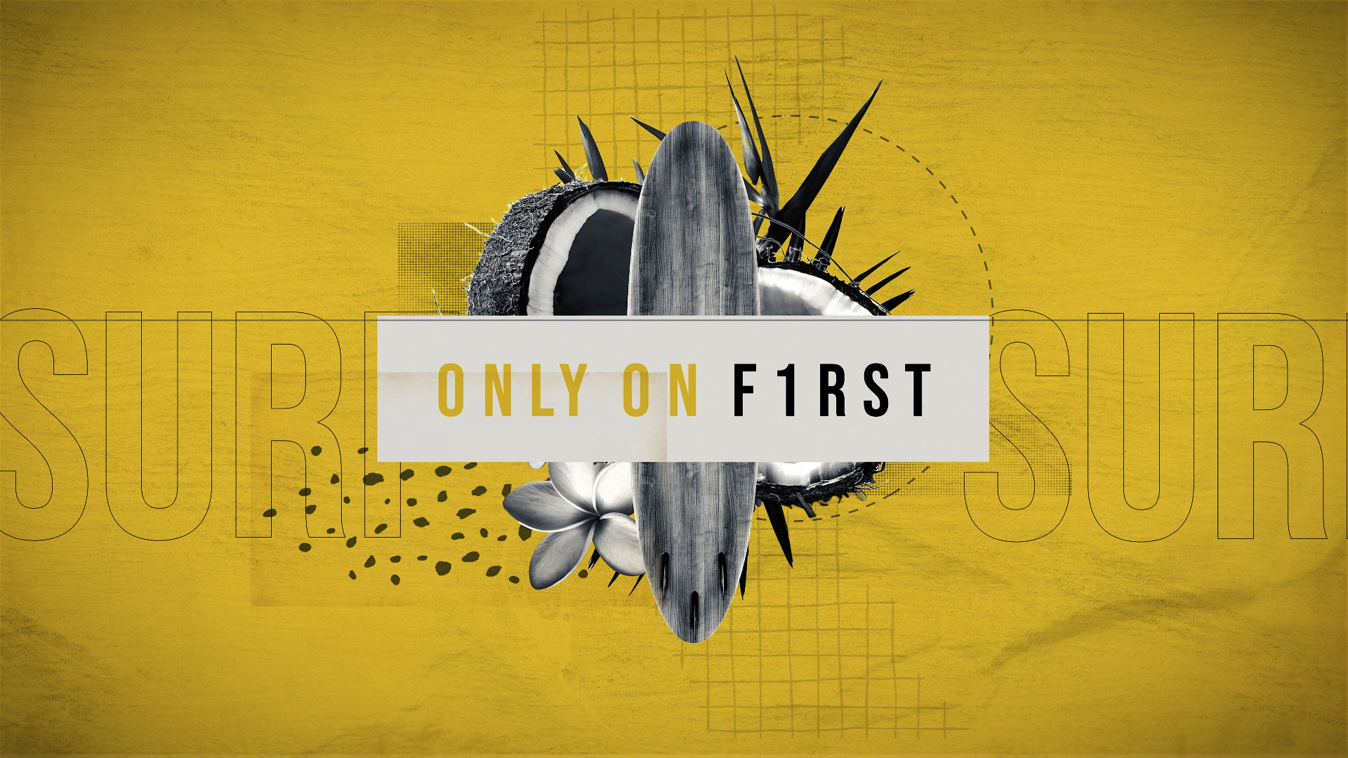 Montage-(0-00-19-08)